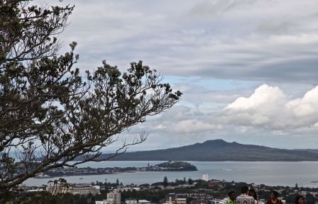 auckland2